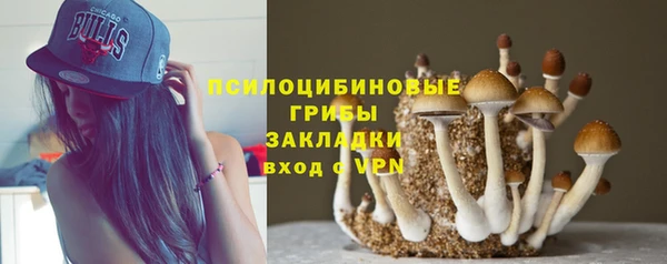 твердый Алексин