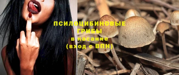 твердый Алексин