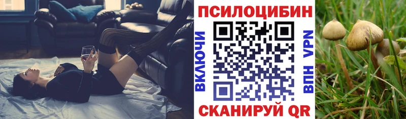 Псилоцибиновые грибы GOLDEN TEACHER  Омск 